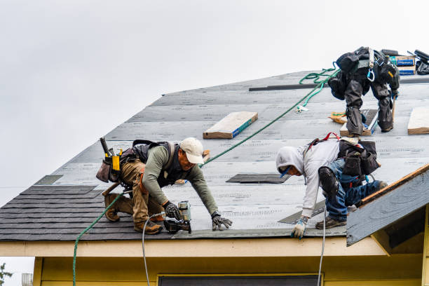 Professional Roofing technician working in Iowa City, IA